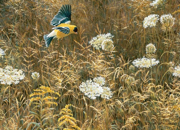 Cobble Hill 500 Piece Puzzle - Queen Annes Lace and American Goldfinch - Sample Poster Included