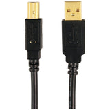 AXIS A-MALE TO B-MALE USB 2.0 CABLE, 6FT