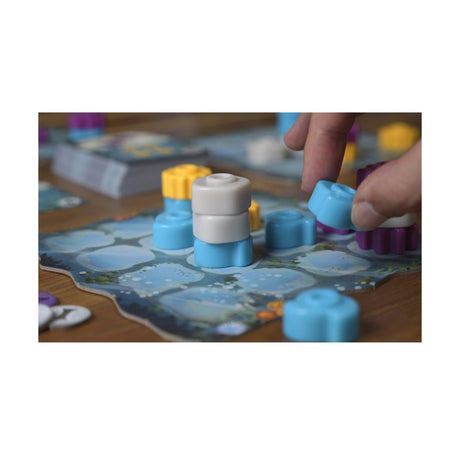 Reef Board Game (Second Edition) - Grow Your Coral Reef with Colors and Patterns, Fun Family Strategy Game for Kids and Adults, Ages 8+, 2-4 Players, 30-45 Minute Playtime, Made by Plan B Games