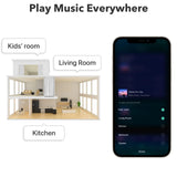 WiiM Pro Plus AirPlay 2 Receiver, Google Cast Audio, Multiroom Streamer with Premium AKM DAC, Voice Remote, Works with Alexa/Siri/Google, Stream Hi-Res Audio from Spotify, Amazon Music, Tidal and More