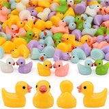 Showcase - Hide-A-Duck! (100pc) Tiny Ducks To Prank Your Friends With!