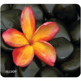 Allsop Naturesmart Mouse Pad, Floral (30185)