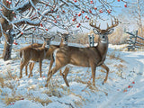 Cobble Hill 500 Piece Puzzle - Winter Deer - Sample Poster Included