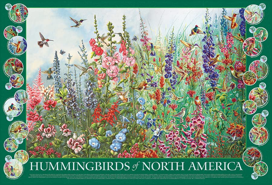 Cobble Hill 2000 Piece Puzzle - Hummingbirds of North America - Sample Poster Included