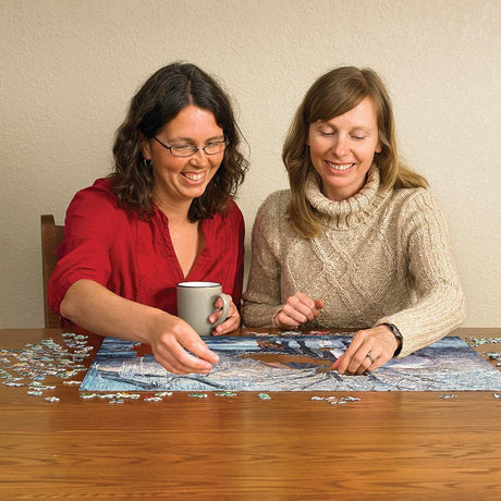 Cobble Hill 500 Piece Puzzle - Winter's Beauty - Sample Poster Included - image 4