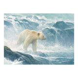 Cobble Hill 500 Piece Puzzle - Salmon Watch - Spirit Bear - Sample Poster Included