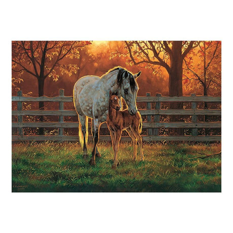 Cobble Hill 500 Piece Puzzle - Quiet Time - Sample Poster Included