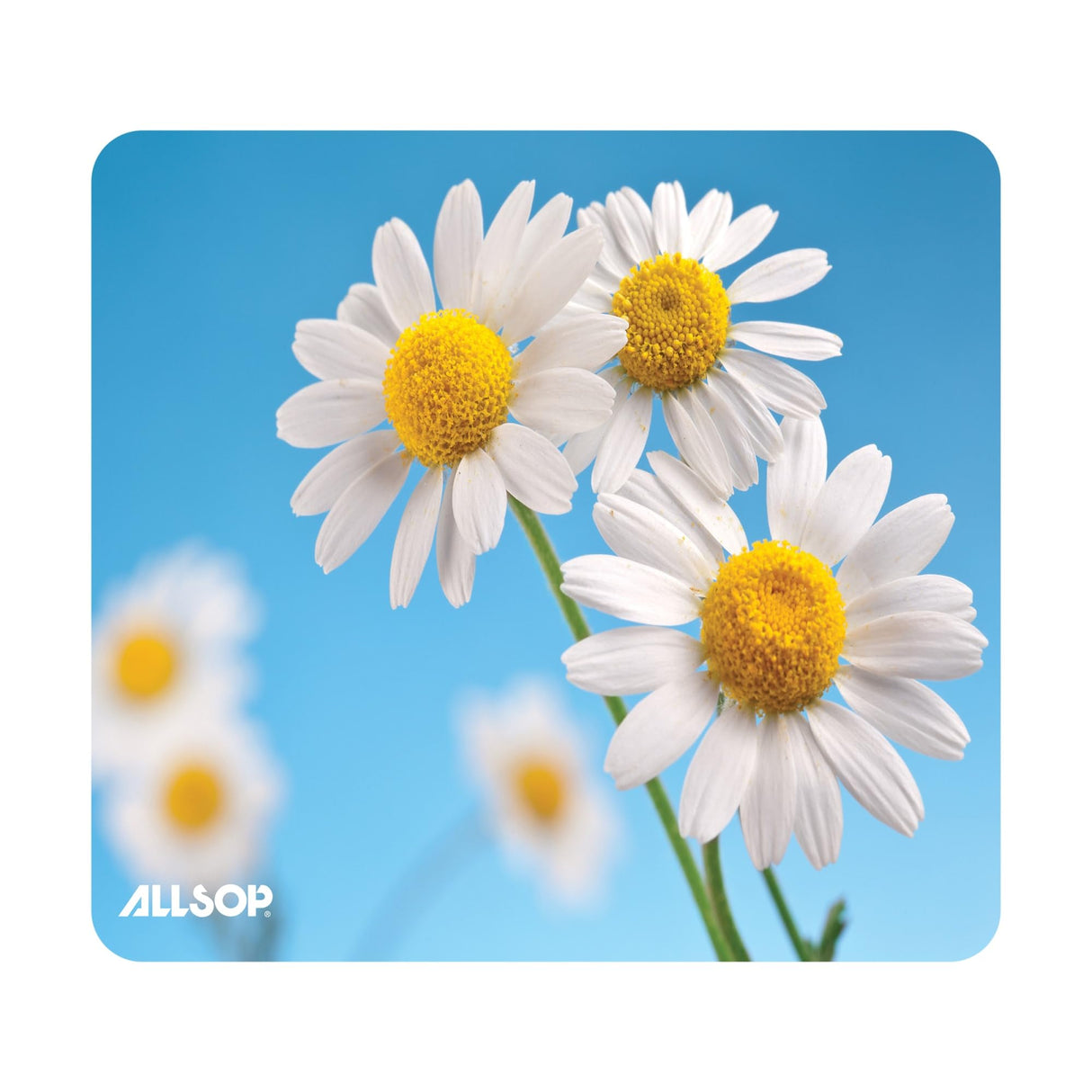 Allsop Nature's Smart Mouse Pad 60 % Recycled Content, Daisy (31420),Black