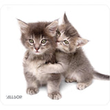 Allsop Nature's Smart Mouse Pad 60% Recycled Content, Kittens (30184)