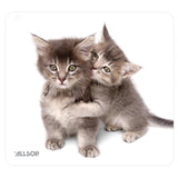 Allsop Nature's Smart Mouse Pad 60% Recycled Content, Kittens (30184)