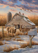 Cobble Hill 1000 Piece Puzzle - Rural Route - Sample Poster Included