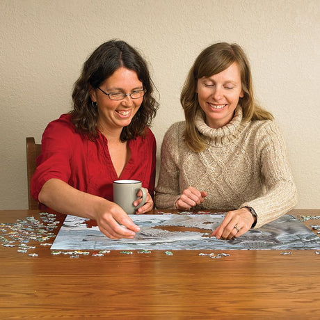 Cobble Hill 500 Piece Puzzle - Breath of Winter - Sample Poster Included - image 3
