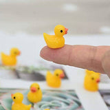 Showcase - Hide-A-Duck! (100pc) Tiny Ducks To Prank Your Friends With!
