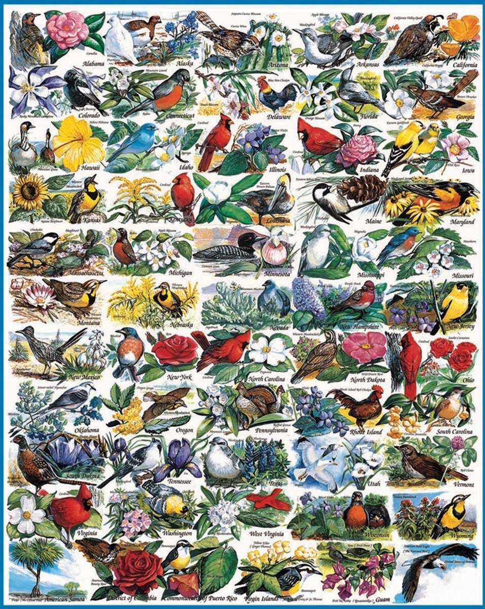 White Mountain Puzzles State Birds and Flowers - 1000 Piece Jigsaw Puzzle