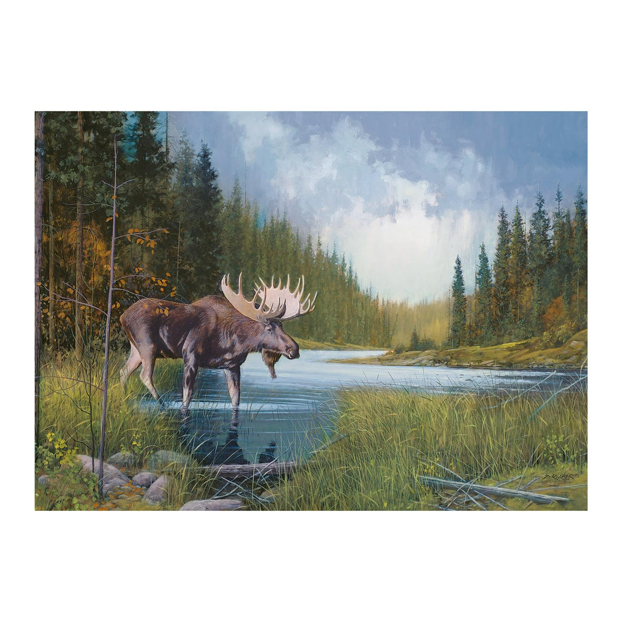 Cobble Hill 3840196 Elk in The Lake, 1000 Pieces Puzzle with Puzzle Poster for Adults and Children from 12 Years, Landscape Puzzle, Animal Puzzle