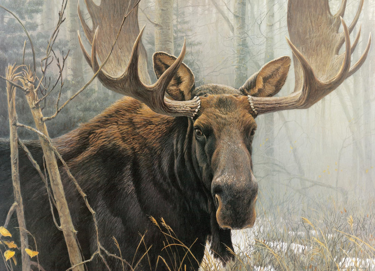 Cobble Hill 500 Piece Puzzle - Bull Moose - Sample Poster Included