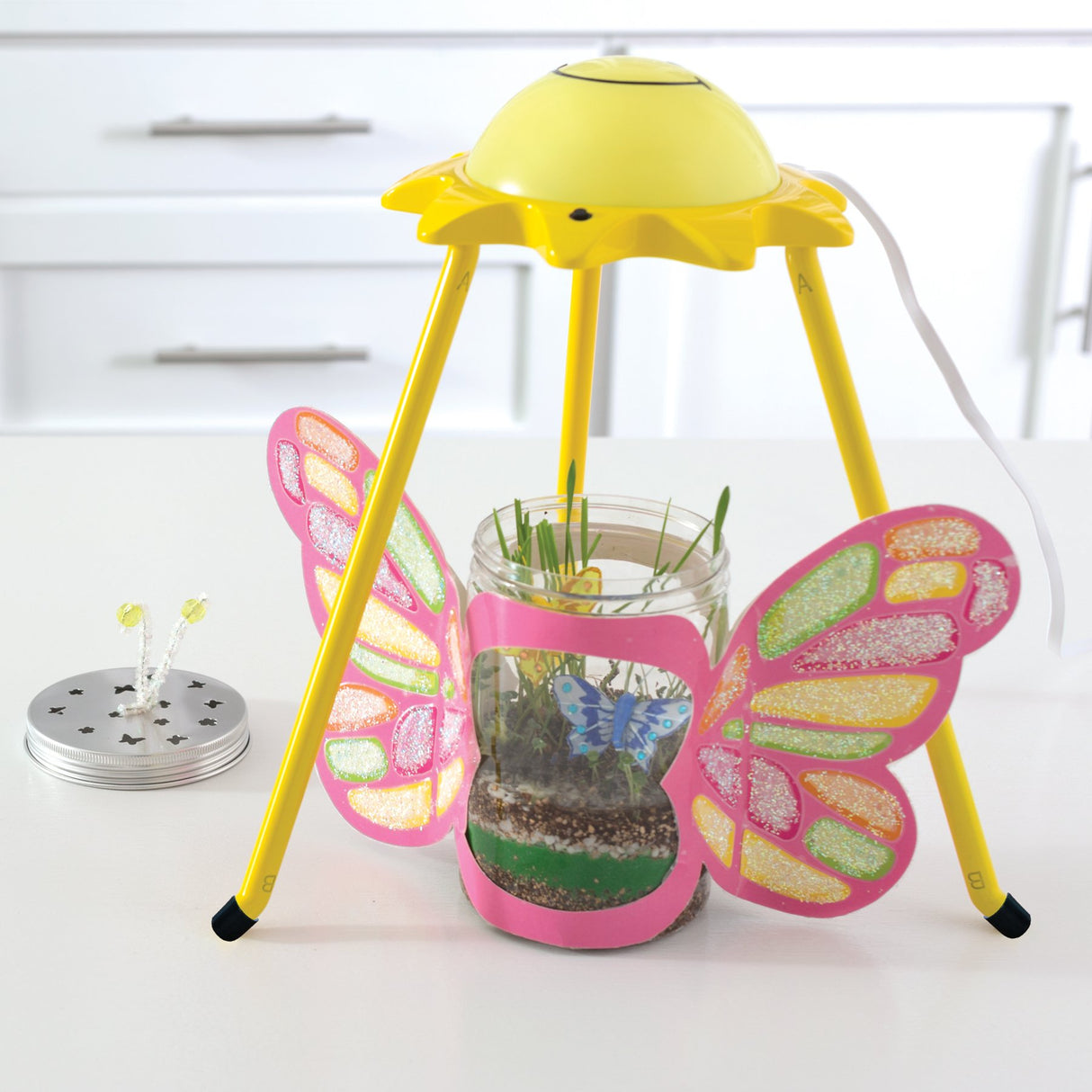 Creativity For Kids Sparkle N' Grow Butterfly Terrarium - Steam Crafts For Kids