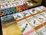 Stonemaier Games: Wingspan (Base Game) by Elizabeth Hargrave | A Relaxing, Award-Winning Strategy Board Game About Birds for Adults and Family | 1-5 Players, 70 Mins, Ages 14+