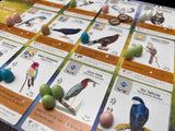 Stonemaier Games: Wingspan (Base Game) by Elizabeth Hargrave | A Relaxing, Award-Winning Strategy Board Game About Birds for Adults and Family | 1-5 Players, 70 Mins, Ages 14+