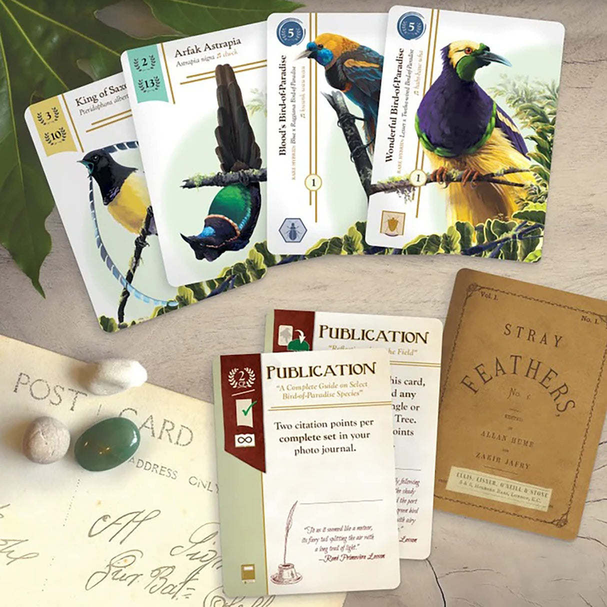 Renegade Game Studios Birdwatcher Board Game 1-5 Players, 25-60 Minutes, Ages 13+, Included Solo Play Mode