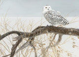 Cobble Hill 500 Piece Puzzle - Fallen Willow - Snowy Owl - Sample Poster Included