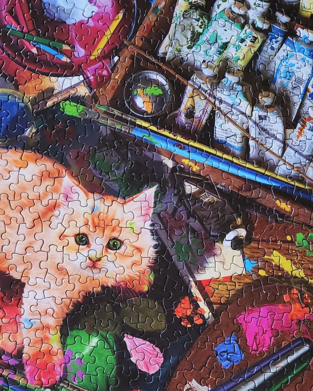 Springbok's 1000 Piece Jigsaw Puzzle an Unexpected Mews - Made in USA