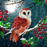 Crystal Art Diamond Painting Card Kit - Barn Owl- Create Your Own 7"x7" Card Kit - for Ages 8 and up