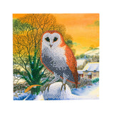 CRYSTAL ART Wall Decoration, 18x18, Winter Owl