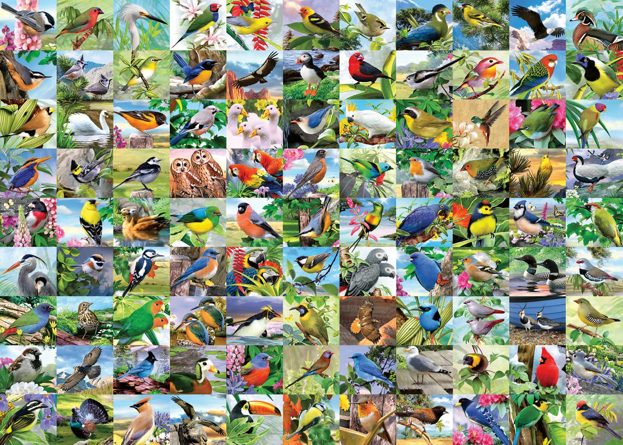 Ravensburger 99 Delightful Birds 300 Piece Large Format Jigsaw Puzzle for Adults - Every Piece is Unique, Softclick Technology Means Pieces Fit Together Perfectly