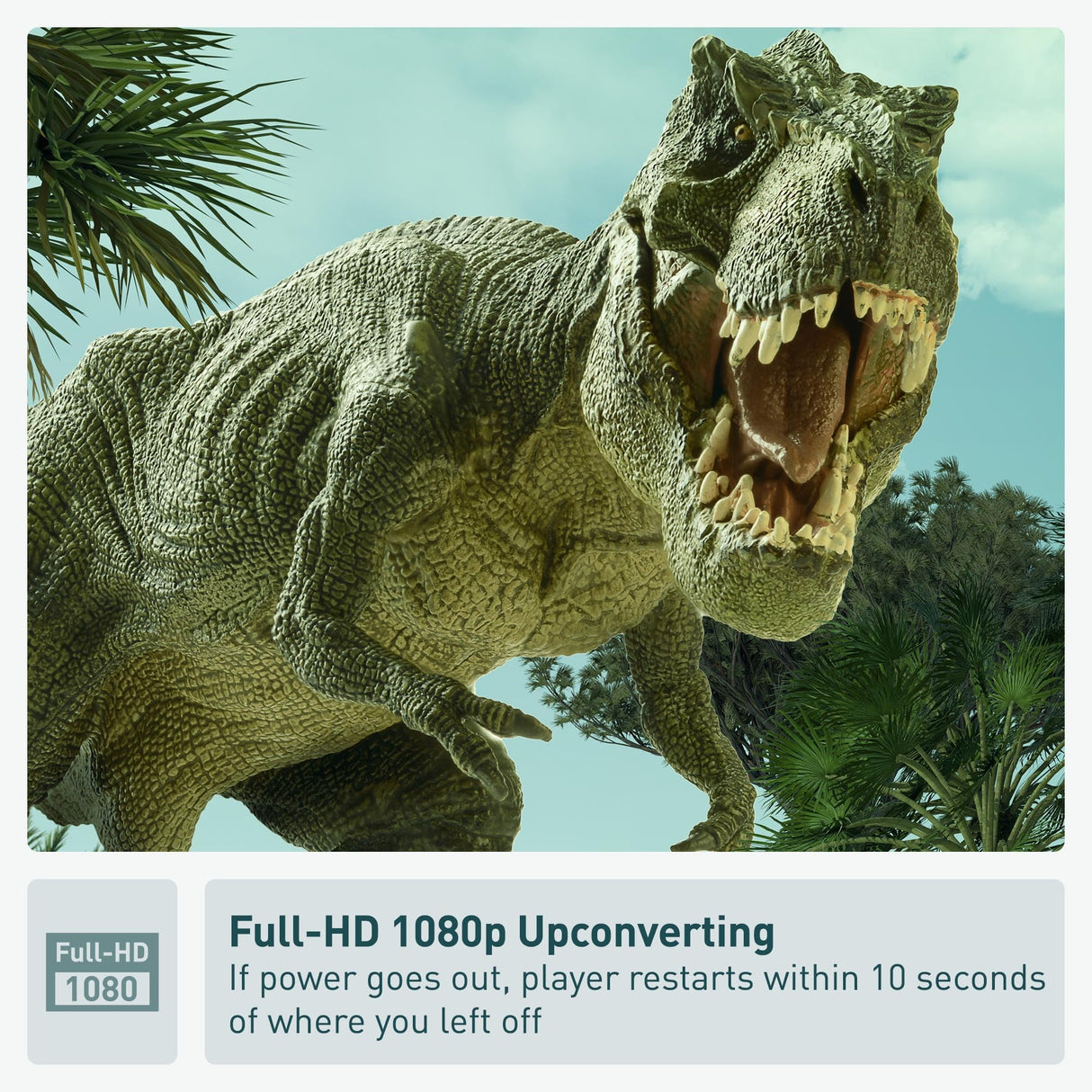 Panasonic DVD Player with Dolby Digital Sound, 1080p HD Upscaling for DVDs, HDMI and USB Connections - DVD-S700 (Black)