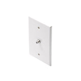 MID-SIZED TV WALL PLATE WHITE