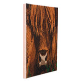 Crystal Art Mounted Kit:  Highland Cow (medium)