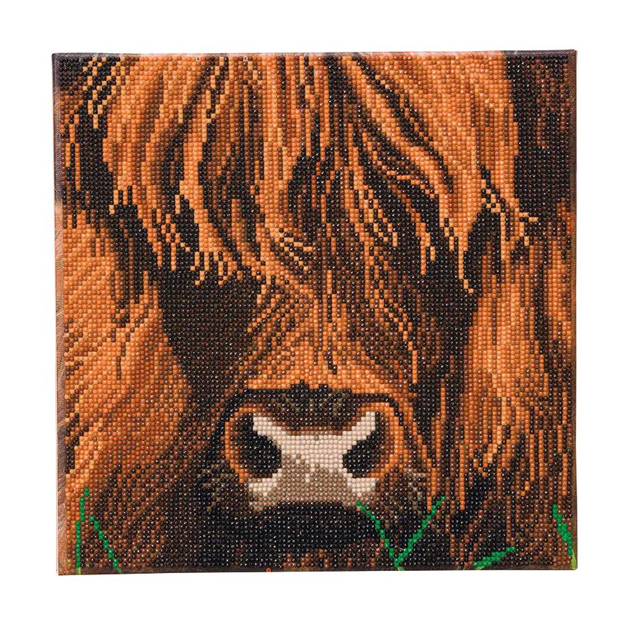 Crystal Art Mounted Kit:  Highland Cow (medium)