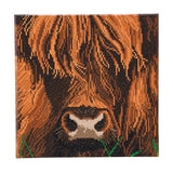 Crystal Art Mounted Kit:  Highland Cow (medium)