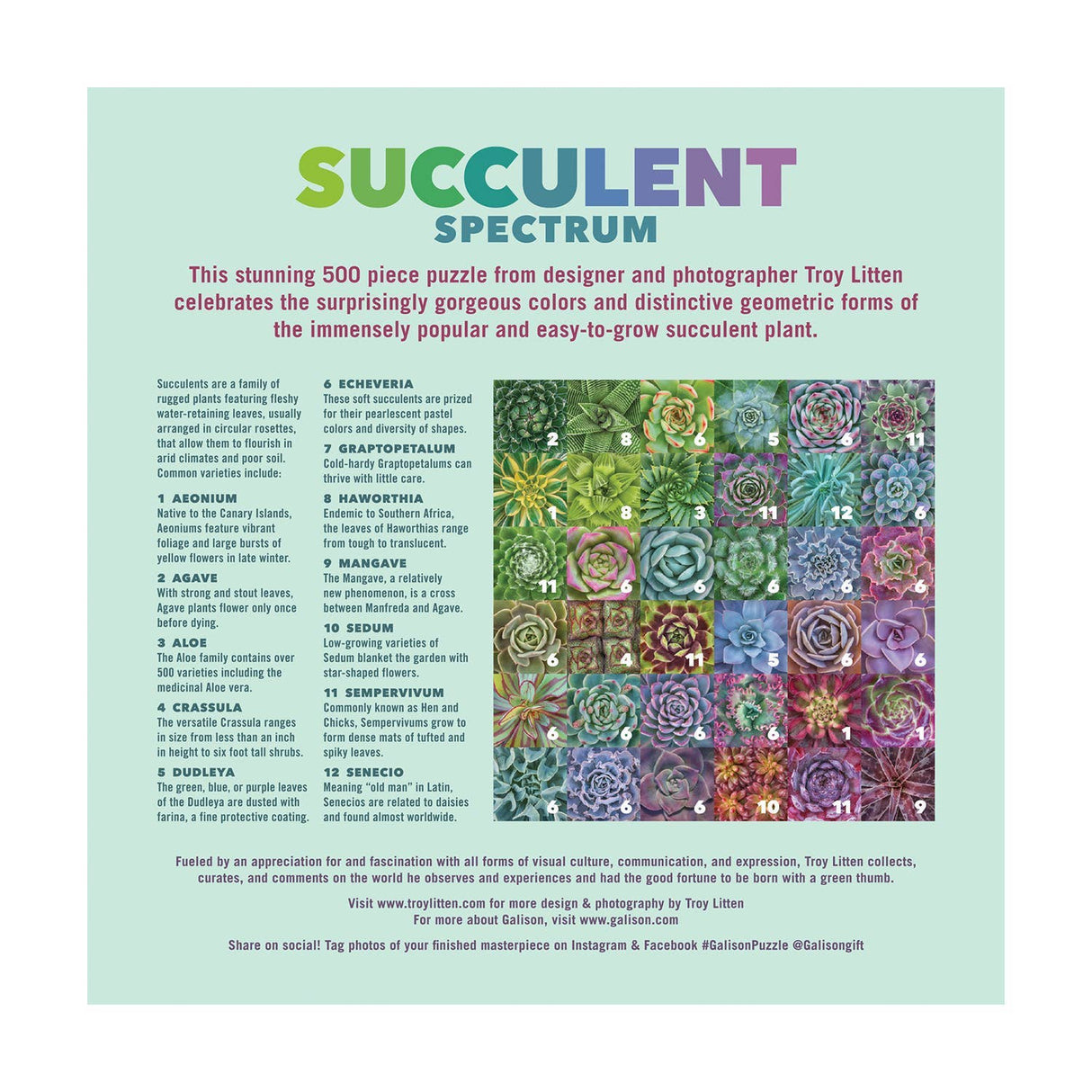 Galison - Succulent Spectrum 500 Piece Puzzle