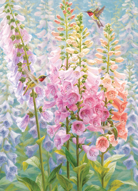 Cobble Hill Summer Rainbow 500 Piece Puzzle