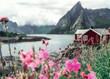 Ravensburger Lofoten, Norway 1000 Pc Puzzle