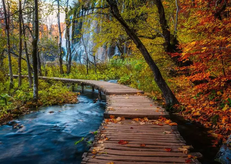 Ravensburger Autumnal Wooden Trail 1000 Pc Puzzle