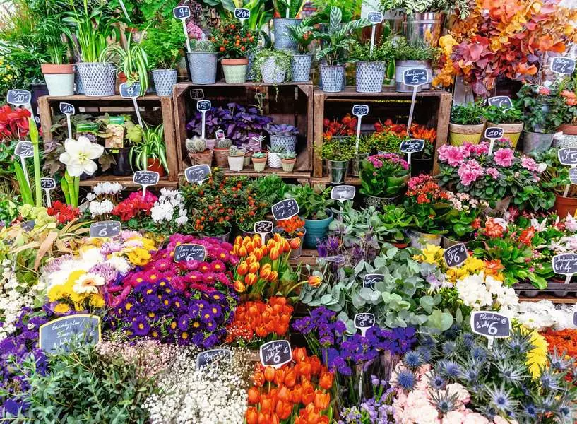 Ravensburger Flower Market, France 500 Pc Puzzle