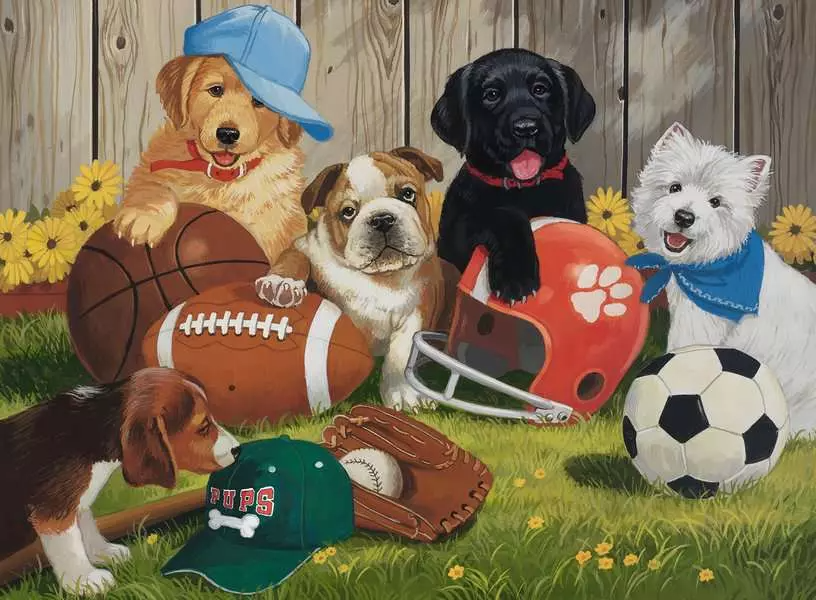 Ravensburger Let's Play Ball! 200 Pc XXL Puzzle