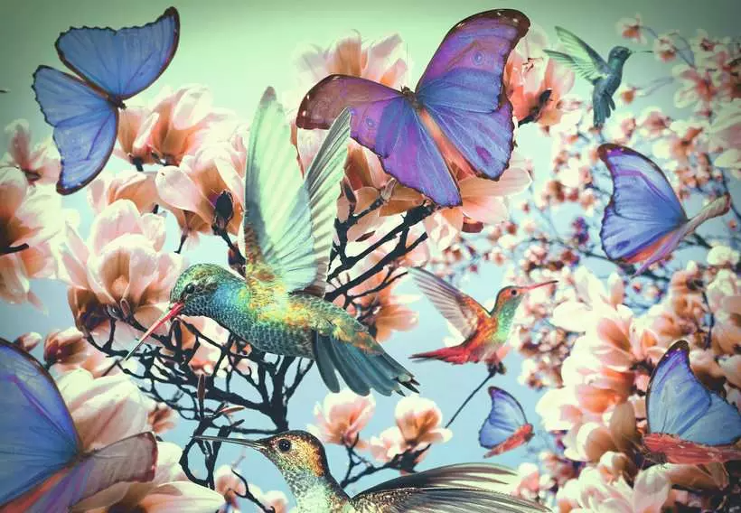 Ravensburger Hummingbird 300 pc Puzzle