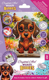 CA Buddies: Puppy
