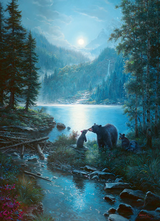 Bear Night | 1000 Piece