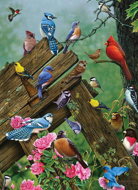 Birds of the Forest | 1000 Piece