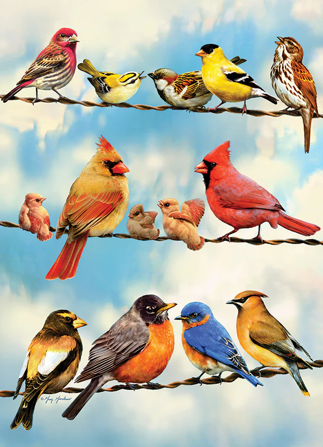 Cobble Hill Birds on a Wire | 500 Piece Puzzle