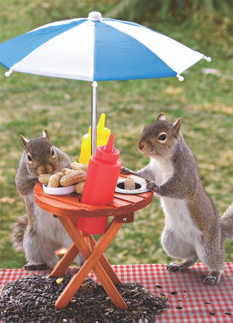 Springbok Squirrel Feeder 350 Piece Jigsaw Puzzle