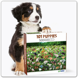 Funwares Original 101 Puppies Puzzle – 500-Piece
