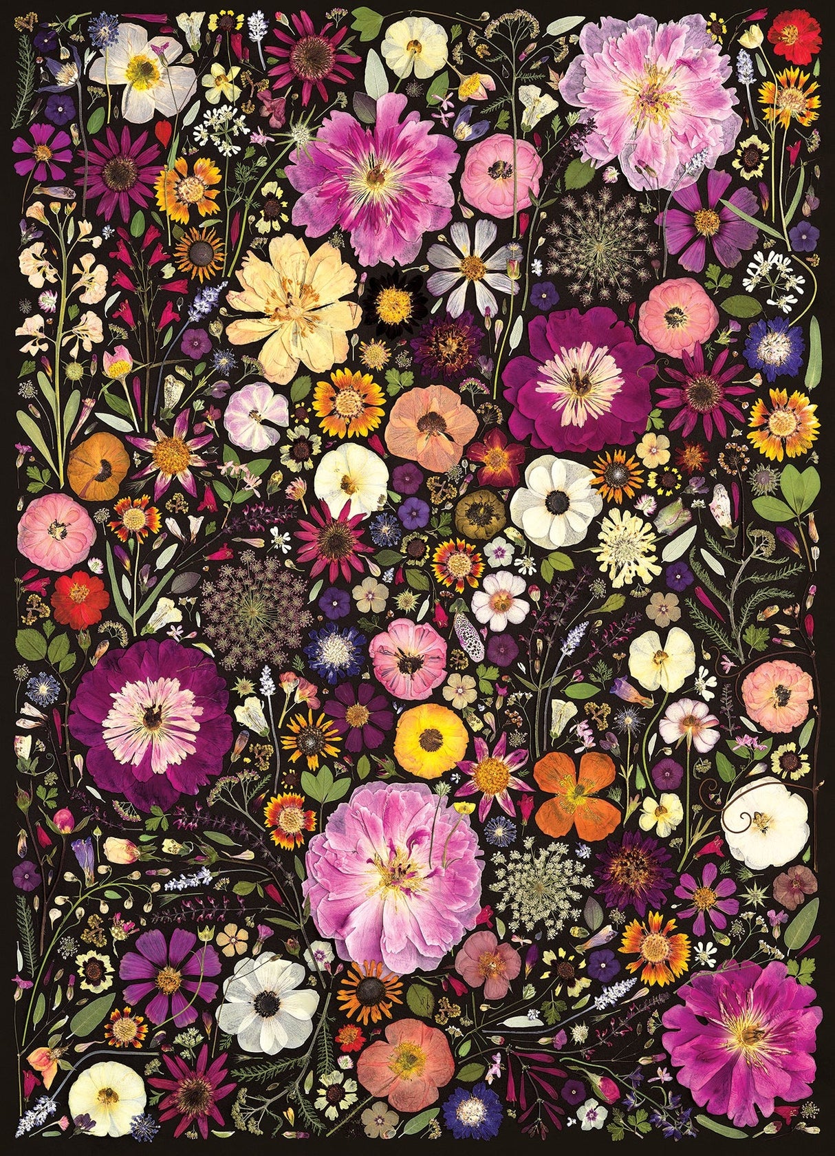 Cobble Hill Flower Press: Little Hollow & Red Daisy | 500 Piece