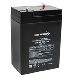 Bright Way Group BWG BW 645 F1 Battery