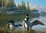 Cobble Hill Common Loons | 1000 Piece Puzzle